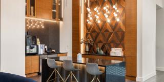 The Mav Gallery 23
