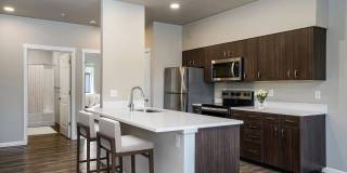 Spring Woods Gallery 1