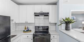 Newly Remodeled 1 Bedroom Apartment Gallery 6