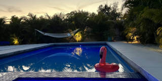 2229 Bougainvillea St Gallery 18