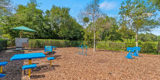 Carlyle at Bartram Park Gallery 14