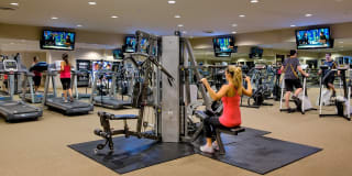 International Village Gallery 23