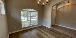 10025 Mount Rainier Gallery 5