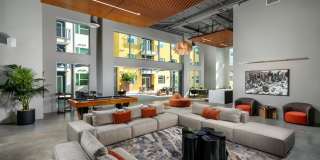 Aston at Gateway Gallery 5