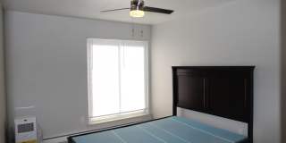 4190 Packard Road Gallery 12