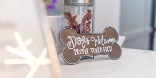 Willow Springs Gallery 39