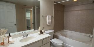 4121 Residence Drive# 311 Gallery 8
