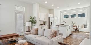 Canvas at Anna Gallery 5