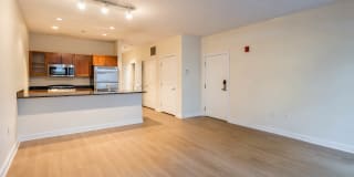 The West End Apartments-Asteria, Villas and Vesta Gallery 72