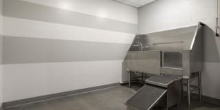 The Whit Gallery 22