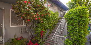 1215 Granville Ave. Gallery 5