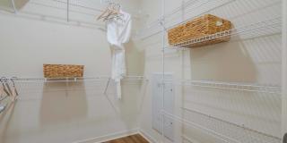 Altera Jacaranda Gallery 19