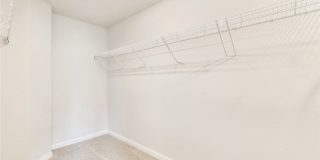 1628 Arbor Knot Drive Gallery 22
