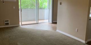 Cherry Apartments Gallery 34
