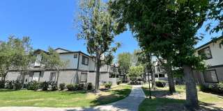 Gladstone Ridge Gallery 26