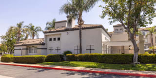 Centre Club Apartments Gallery 5