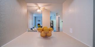 Cedar Brooke Gallery 16