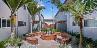 Bon Anza Gallery 10