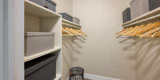 Raven Gallery 5