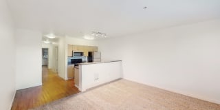 City North Gallery 24