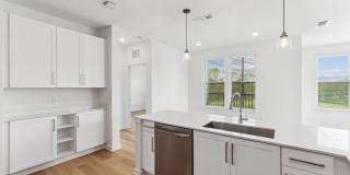 Mosby at Avalon Park Gallery 11