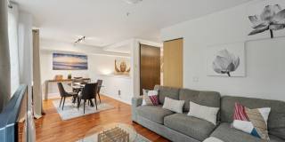 Leva on Market Gallery 11