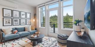 Vicino Bellevue Gallery 19