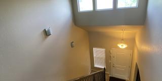 7413 Pimlico Dr Gallery 13