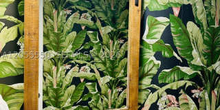 1652 Orchid Bnd Gallery 27
