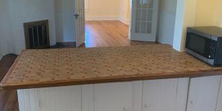 Beautiful Home in the Historic District of Gainesvile Gallery 8