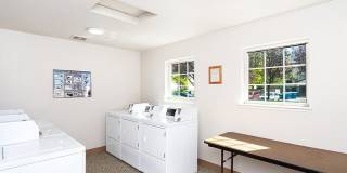 Bristol Woods Gallery 12