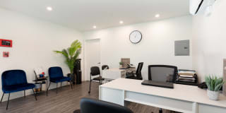 Santa Monica Palms Gallery 20