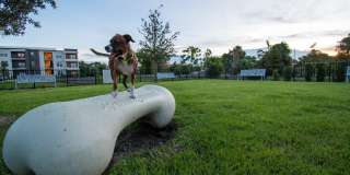 The Ellington at Oviedo Park Gallery 42