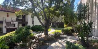 Spacious 2 Bed / 1 Bath Upstairs Condo in San Carlos – Utilities Included! Spacious 2 Bed / 1 Bath Upstairs Condo in San Carlos – Utilities Included! Gallery 21