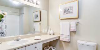 Ashford at Springlake Gallery 7