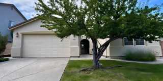 10687 Fire Poppy Circle Gallery 1