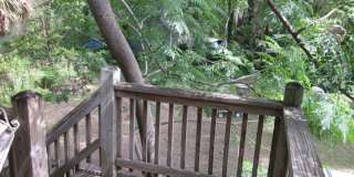 Great One Bed/One Bath in Duckpond Near Downtown Gallery 3