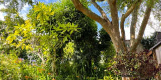 2937 Scott Gallery 31