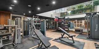 The Arcadian Gallery 8