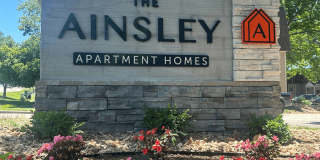 The Ainsley Gallery 1