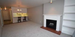Spacious 1 bed 1 bath Condo on Foothill Dr! Gallery 3