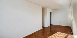 300 W 135th Street Gallery 37