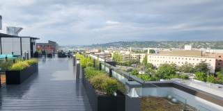 Our Newest Luxury Studios in Ballard! Gallery 23