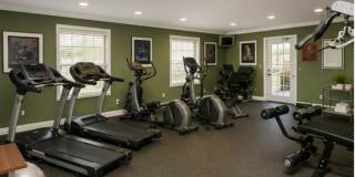 1/1 Lakefront Living in Carrollwood! Available July 10th! Gallery 18
