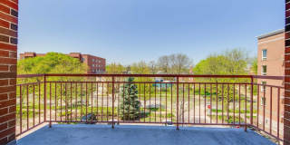 799 Graceland Avenue Gallery 18