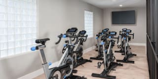 Elite North Scottsdale Gallery 8