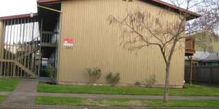 (WLO 9) 2 Bed/1 Bath Near Campus Gallery 1