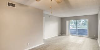 Spectra Palms Gallery 5