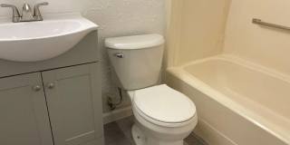 1 bed downstairs unit with courtyard, laundry access,brand new appliances, paint and flooring, includes all utilities up to 200 monthly Gallery 12