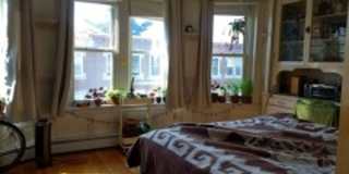 BU West / Central Campus - Spacious, Renovated Brookline 4 Bed/2 Bath on Thorndike for 9/1/2026 Gallery 5
